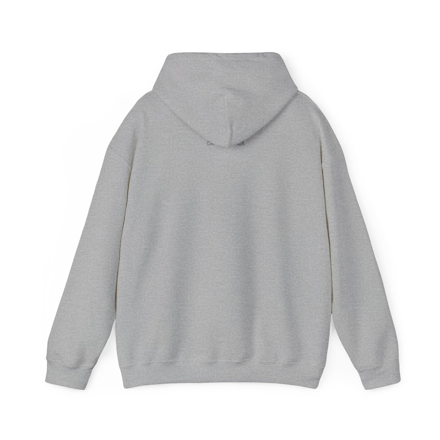 Capybara Ninja Unisex Heavy Blend Hooded Sweatshirt
